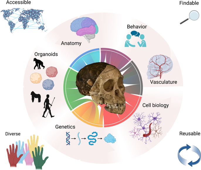 Future of Fossil Analysis: A Comparision of Emerging Techniques and Methods