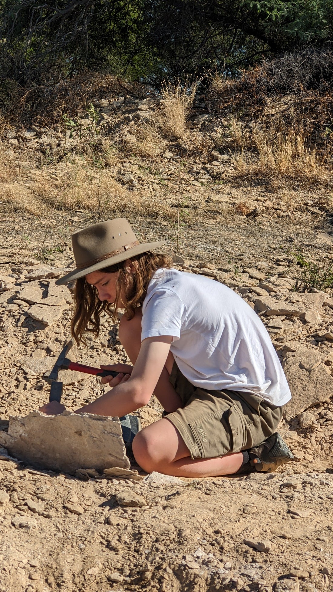 A Checklist for Aspiring Paleontologists: Essential Skills and Knowledge