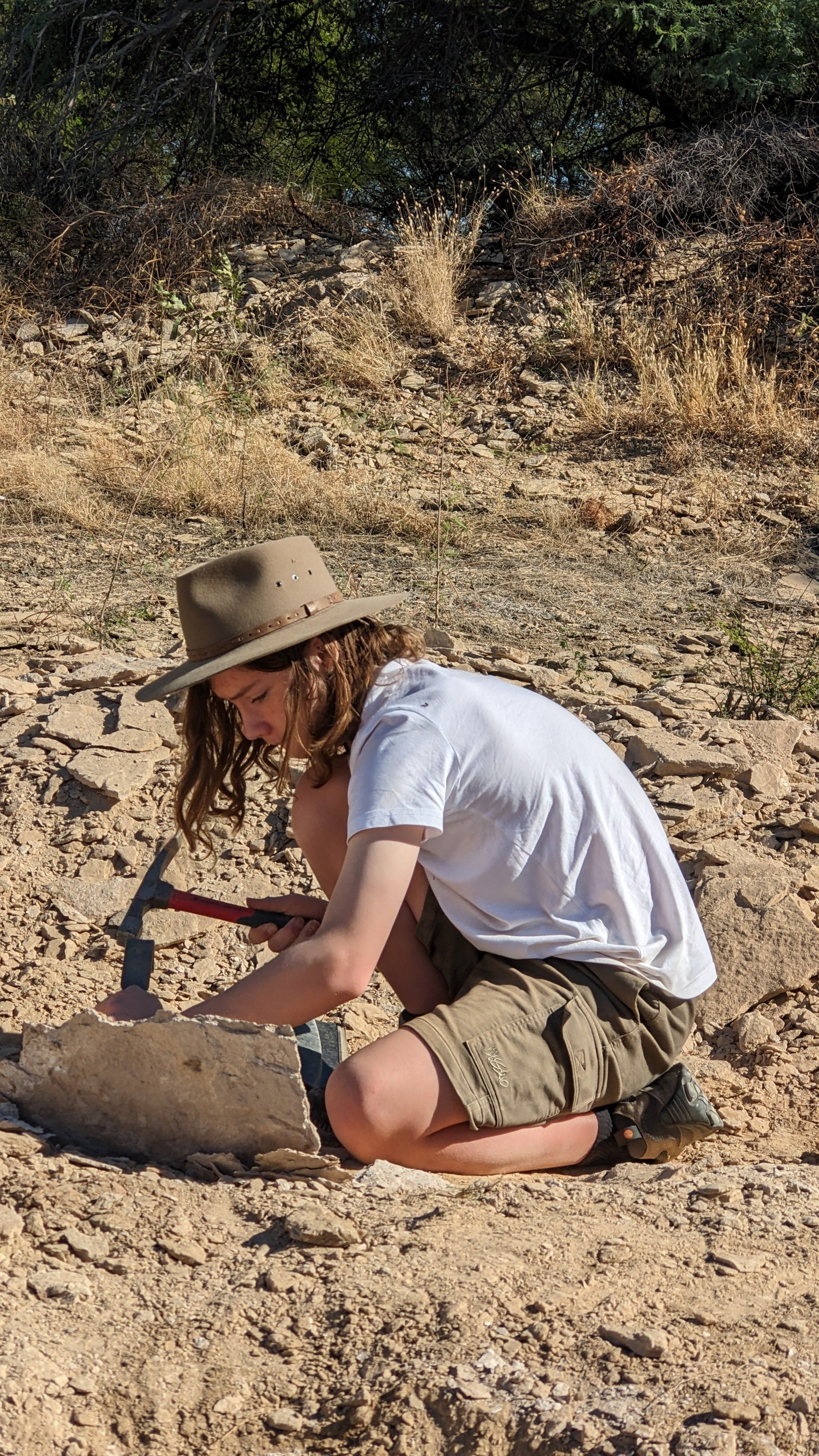 A Checklist for Aspiring Paleontologists: Essential Skills and Knowledge