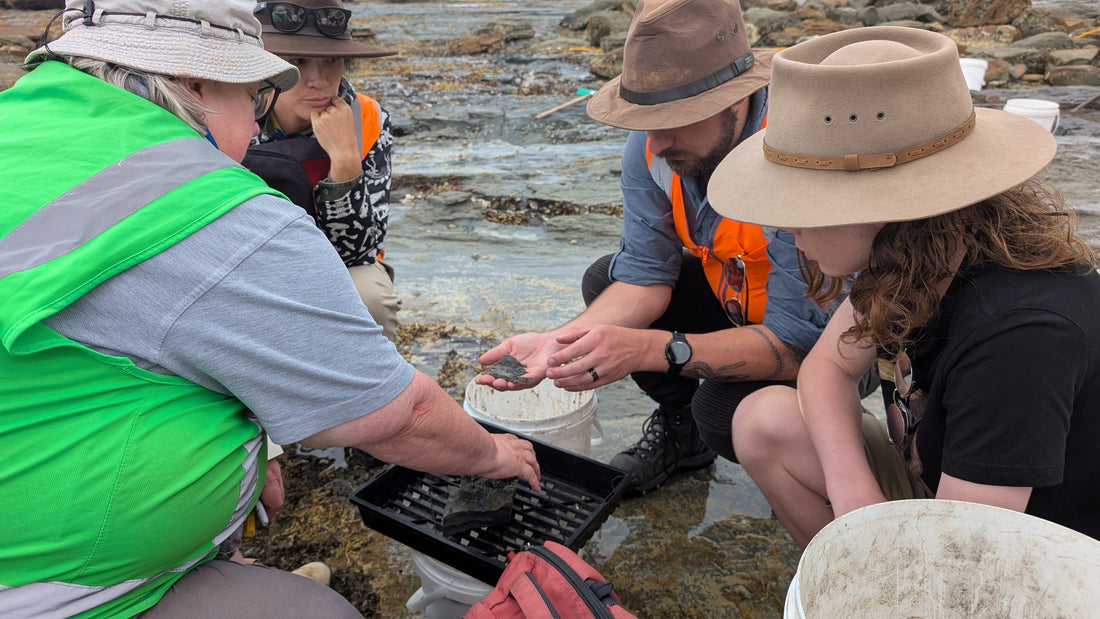 FAQs Answered: What’s New in the World of Dinosaur Discoveries