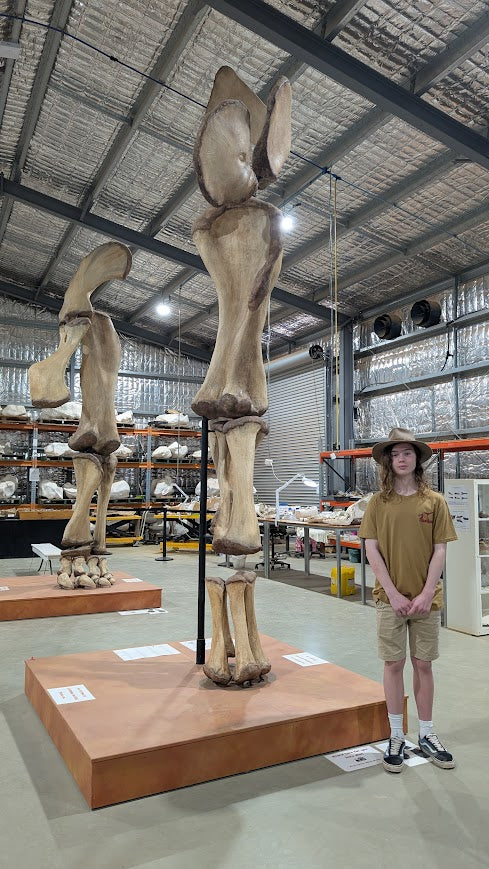 The Fossil Evidence: Common Misunderstandings and Delusions Explained