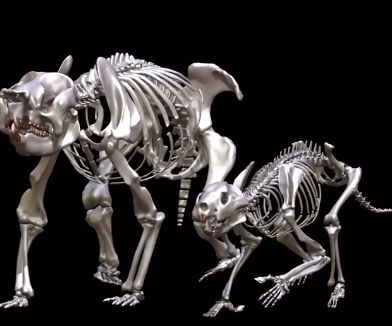 Top Ten Innovations in Modern Paleontology