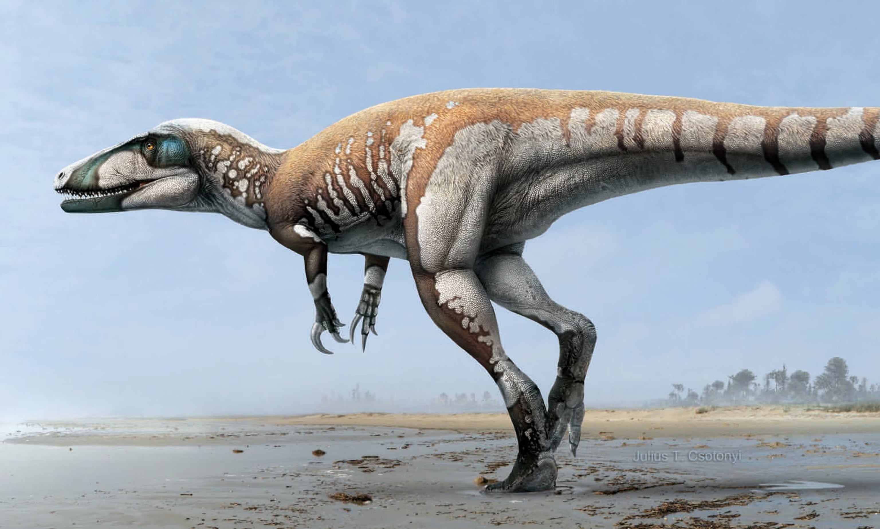 Key Discoveries Shaping the Future of Paleontology