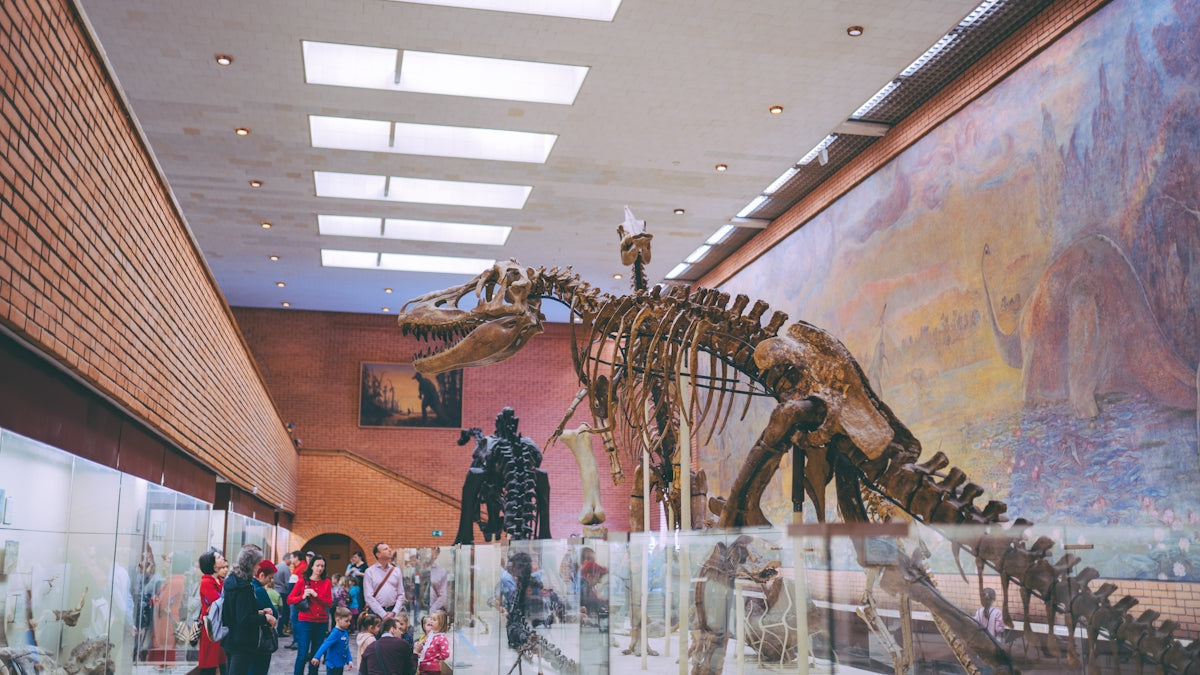 people standing near dinosaur skeleton