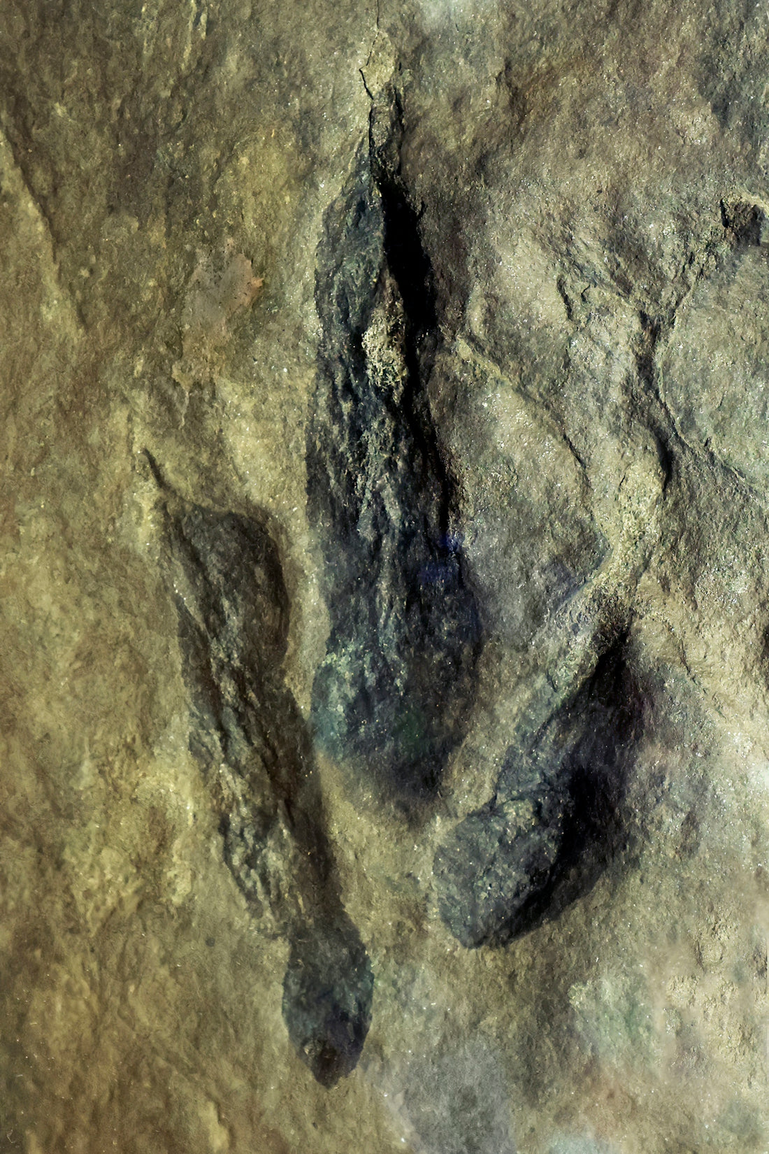 a picture of a rock formation with footprints on it