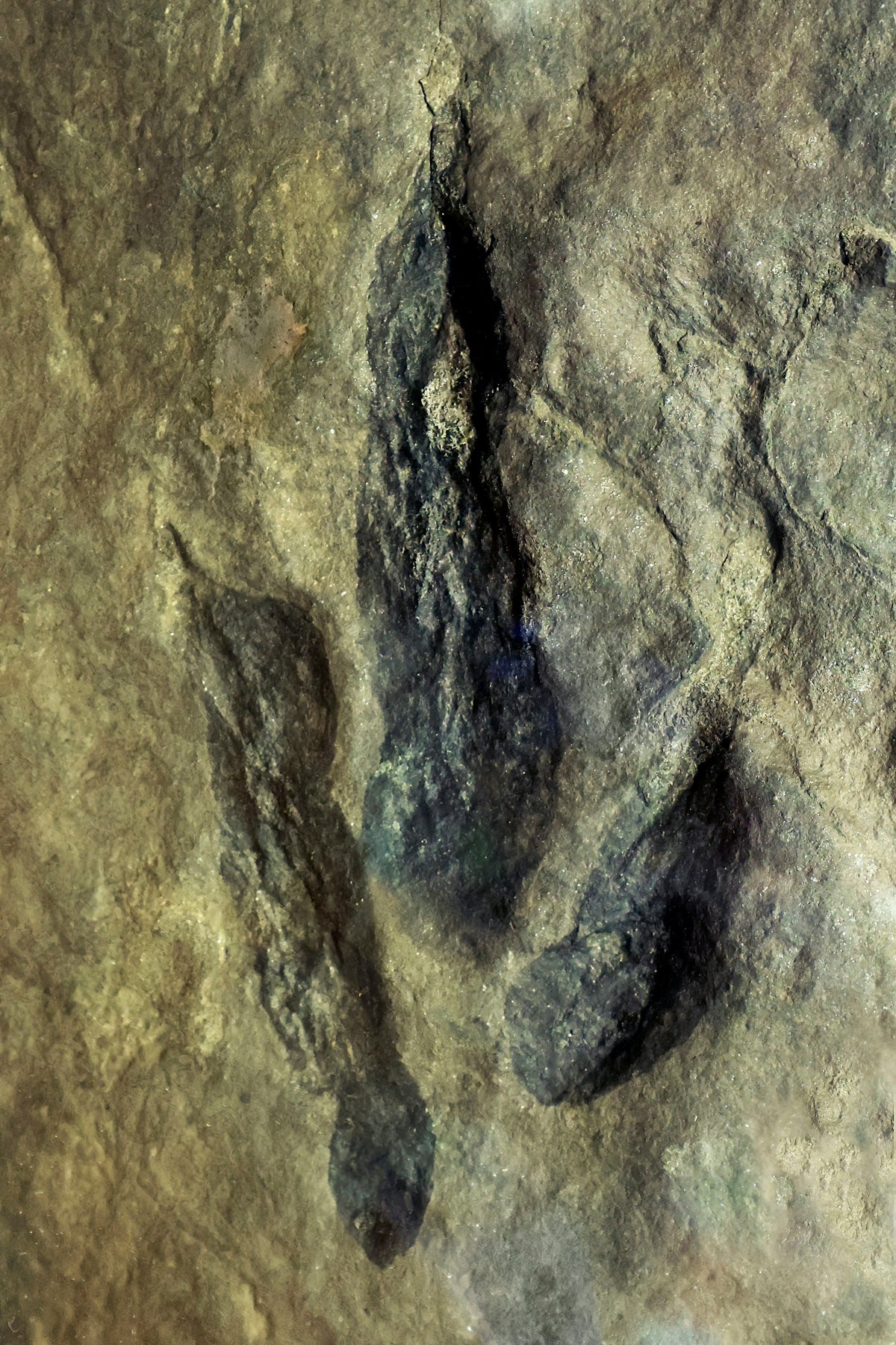 a picture of a rock formation with footprints on it