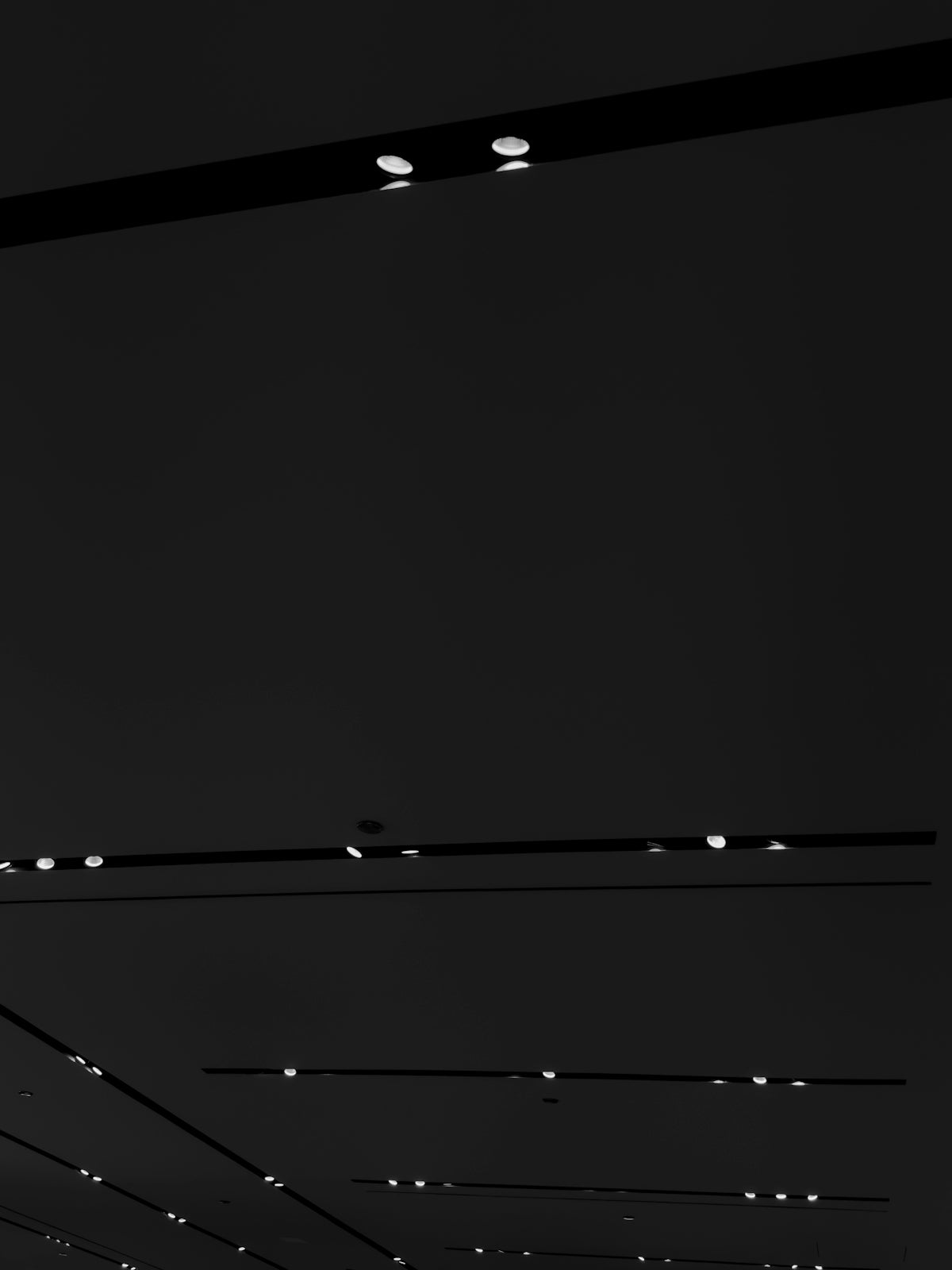 a black and white photo of a street light