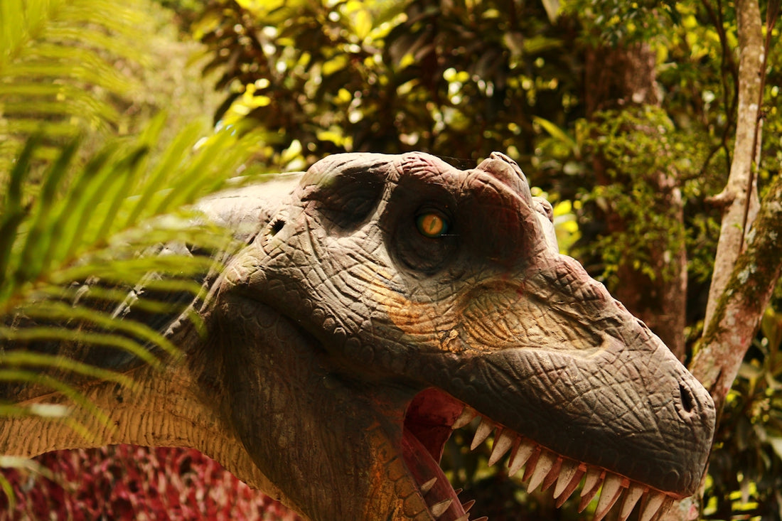 A close up of a dinosaur in a forest