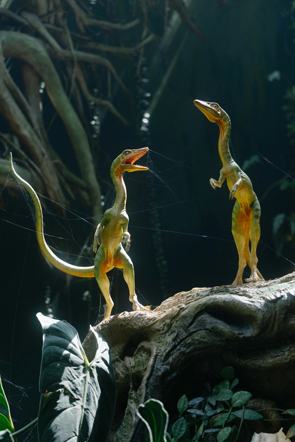 Two small dinosaurs stand on a log