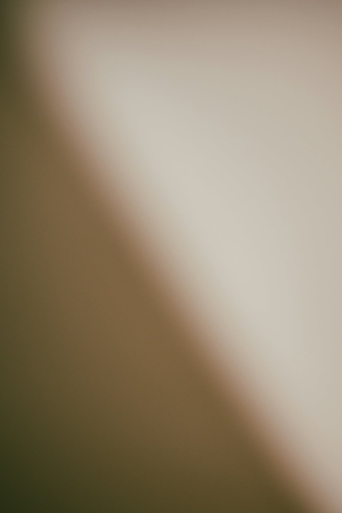 Soft gradient of beige and brown tones